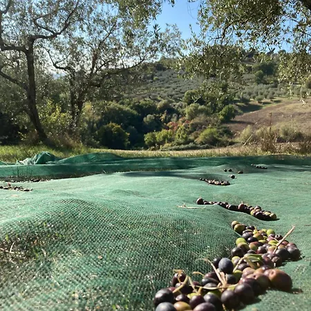 Alloggio per agriturismo Portoreschi *
