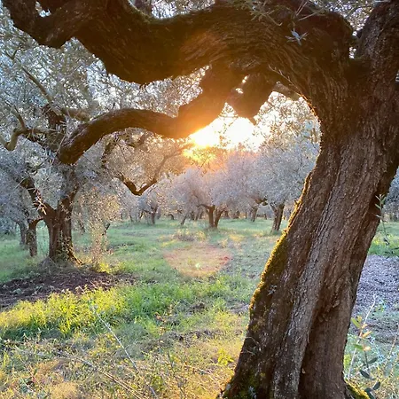 Portoreschi Agroturismo *