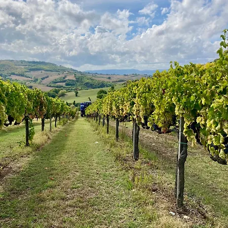Alloggio per agriturismo Portoreschi